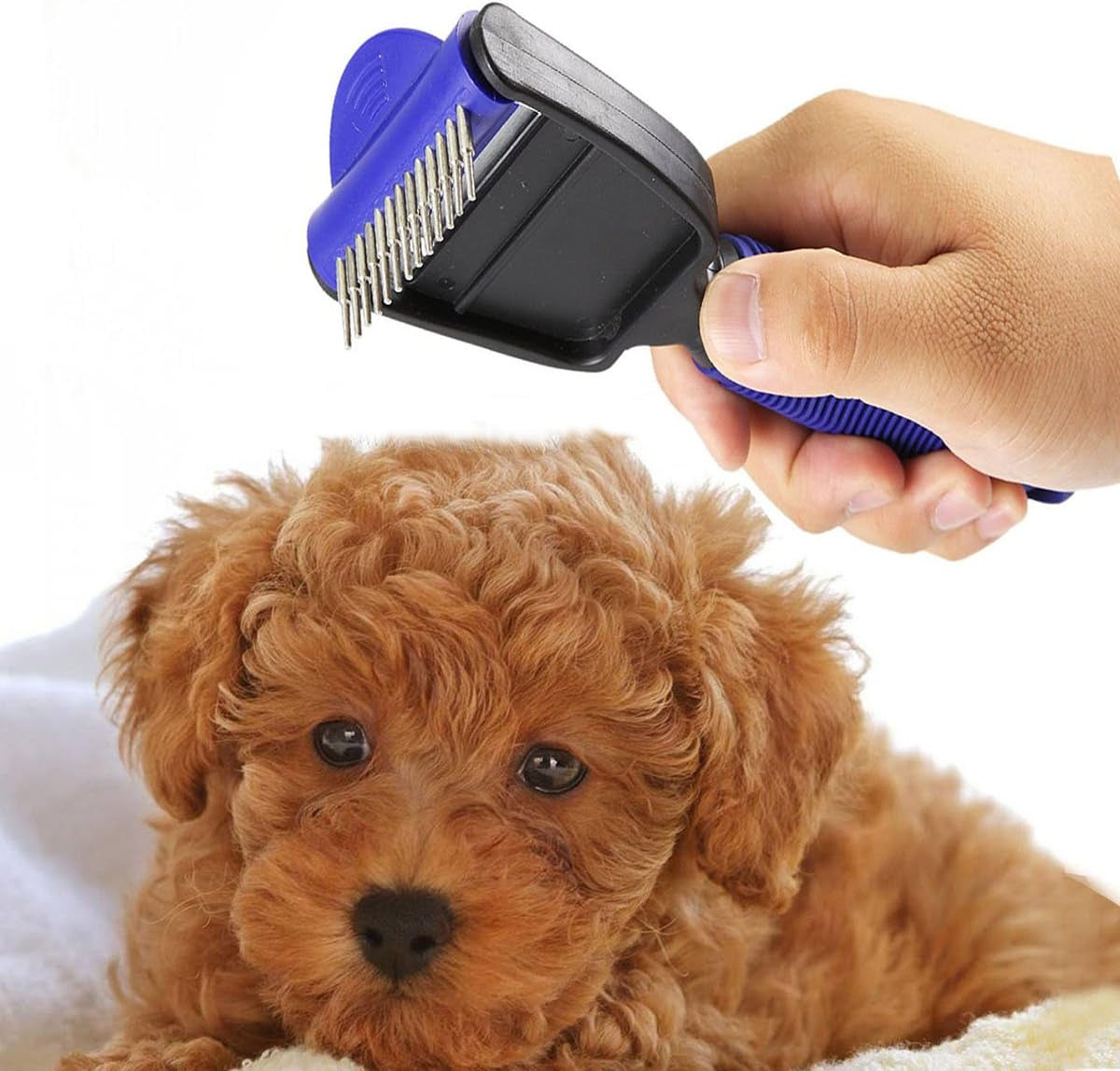 Deshedding Grooming Tool: Undercoat Rake and Brush for Dogs, Cats, and Horses